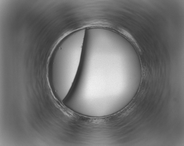 X0000061751043200512021107