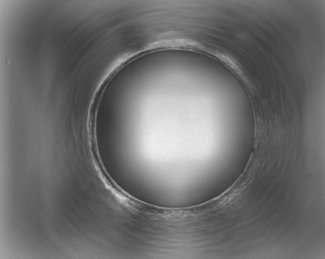 X0000061751046200512021107