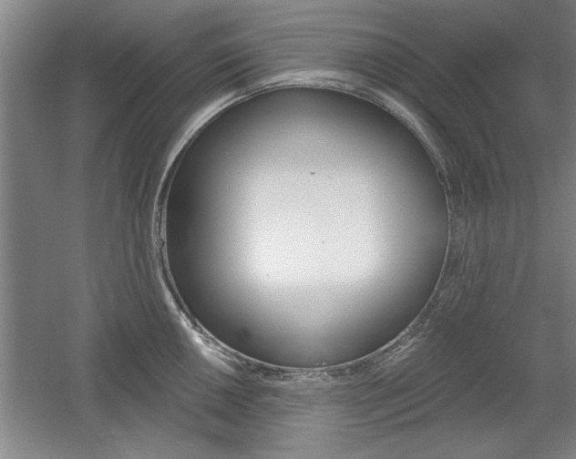 X0000061751050200512021107