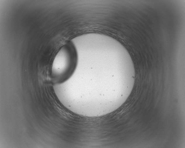 X0000061751058200512021106