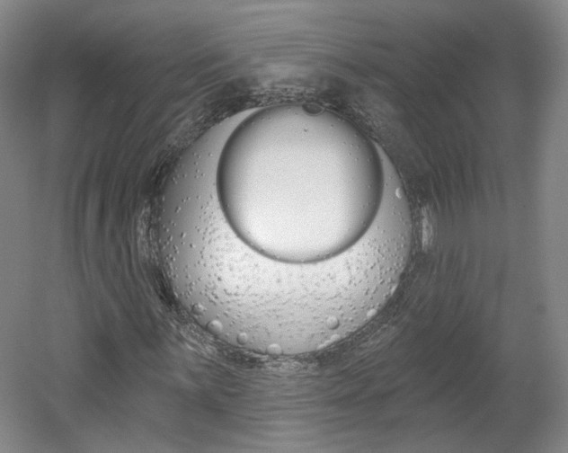 X0000061751059200512021106