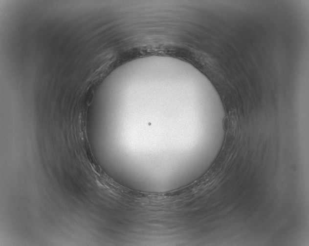 X0000061751060200512021106