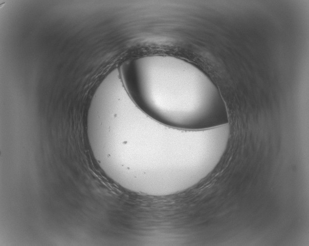 X0000061751061200512021106