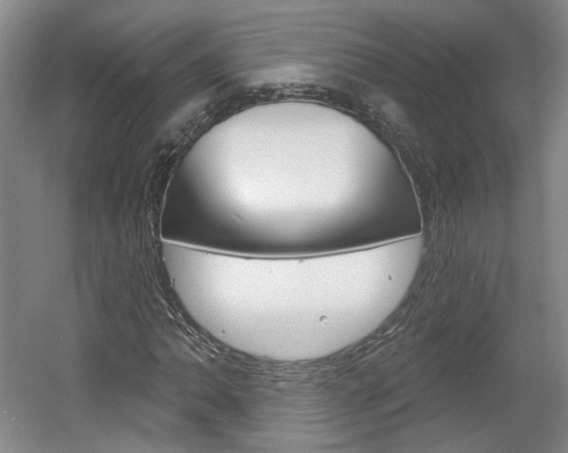 X0000061751062200512021106