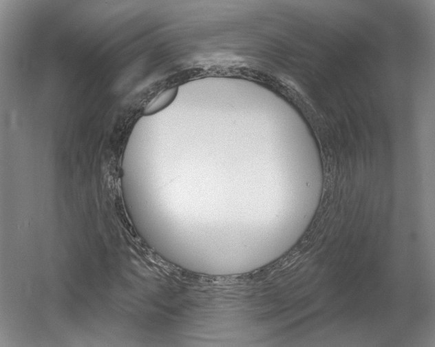 X0000061751063200512021106