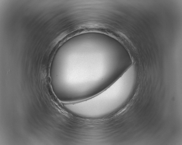 X0000061751065200512021106