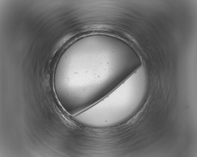 X0000061751066200512021106