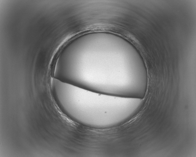 X0000061751075200512021106
