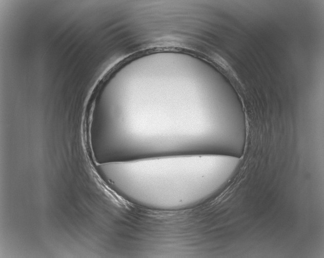 X0000061751076200512021106