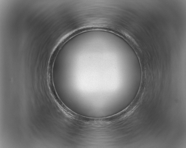 X0000061751077200512021106