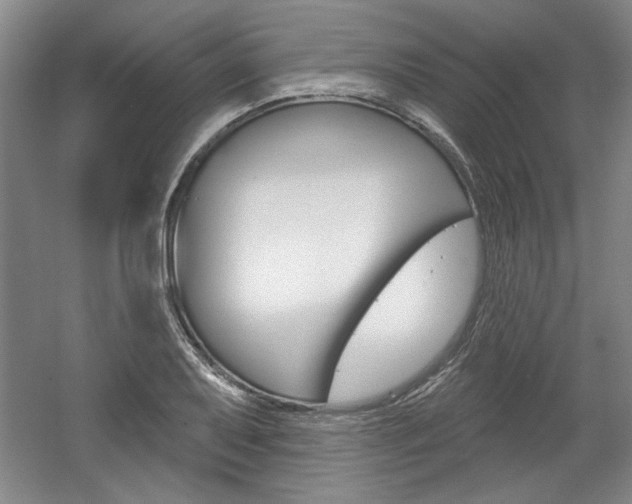 X0000061751079200512021106