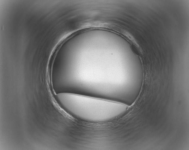 X0000061751080200512021106