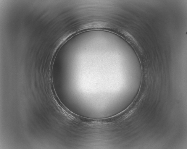 X0000061751081200512021106
