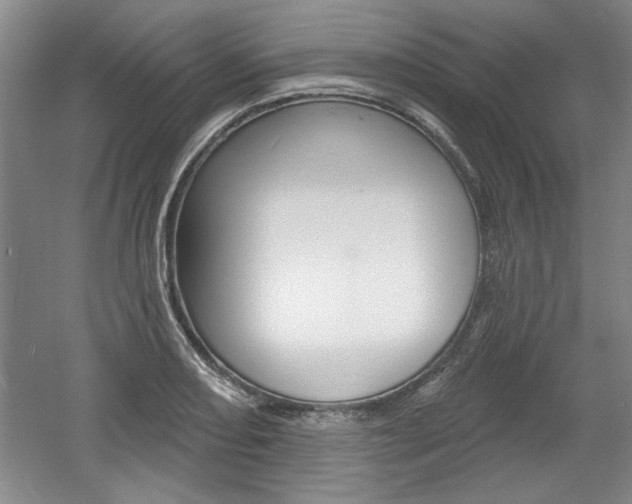 X0000061751082200512021105