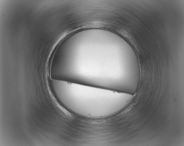 X0000061751083200512021105