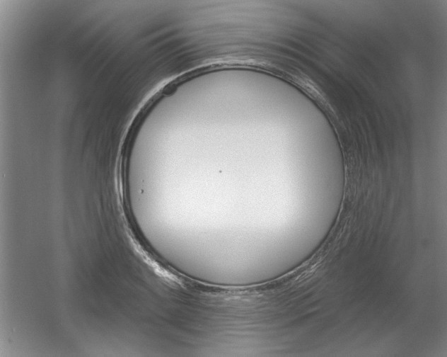 X0000061751084200512021105