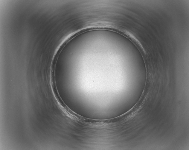 X0000061751085200512021105