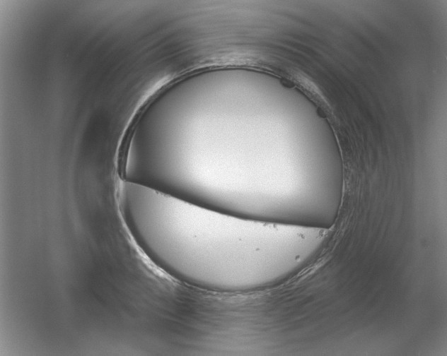 X0000061751087200512021105