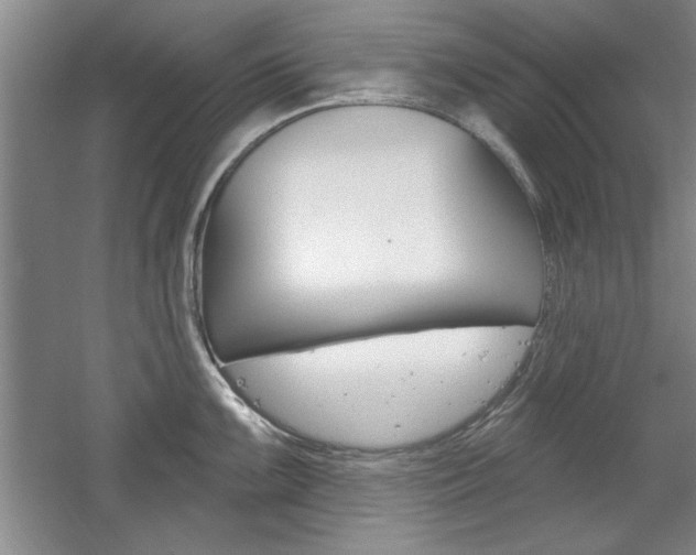 X0000061751099200512021105