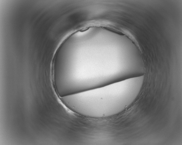 X0000061751103200512021105