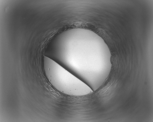 X0000061751105200512021104