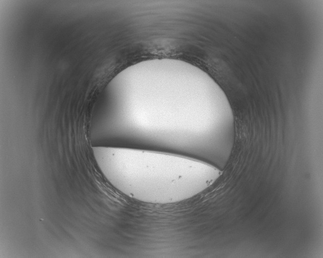 X0000061751106200512021104