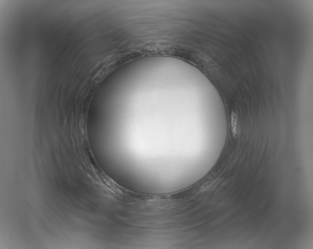X0000061751107200512021104