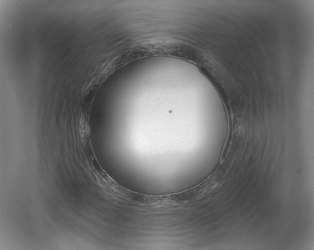 X0000061751108200512021104