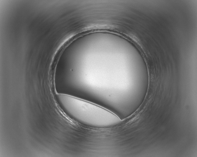 X0000061751119200512021105