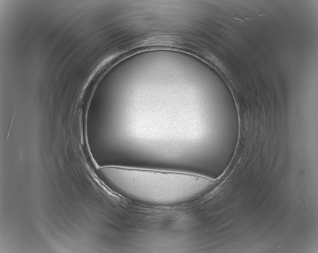 X0000061751123200512021105