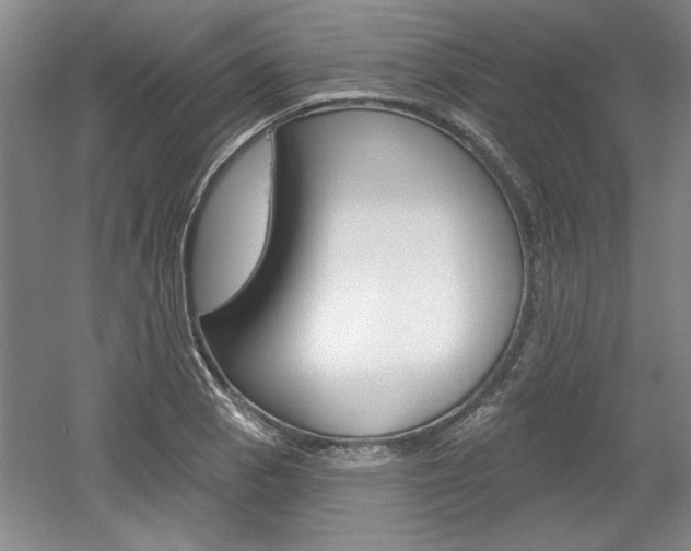X0000061751129200512021105