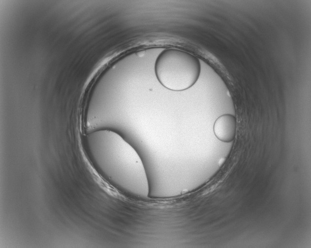 X0000061751130200512021105