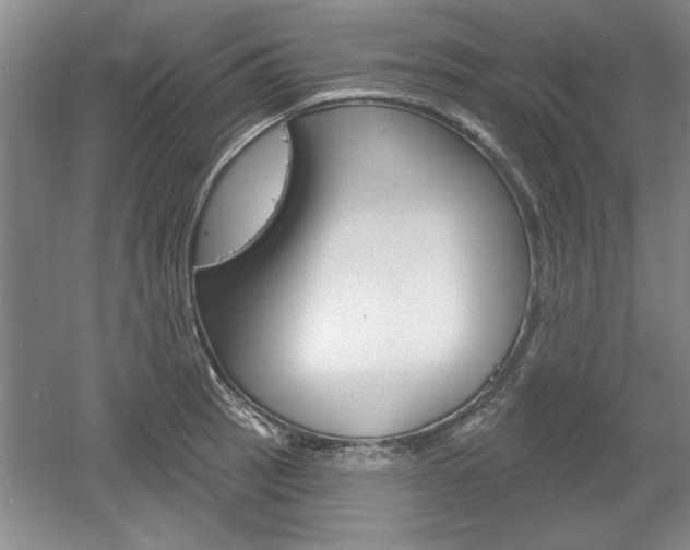X0000061751137200512021105