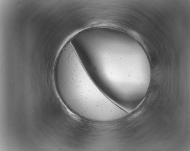 X0000061751149200512021105
