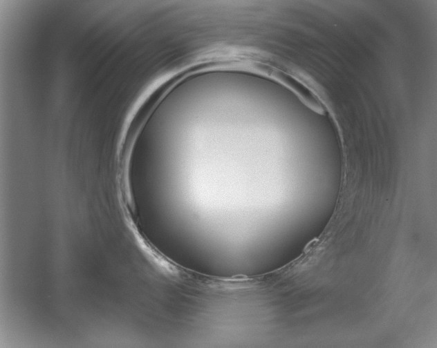 X0000061751152200512021105