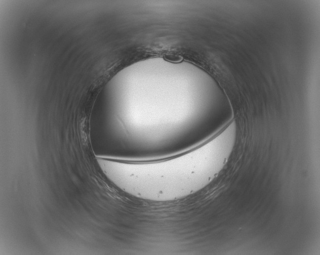 X0000061751156200512021104