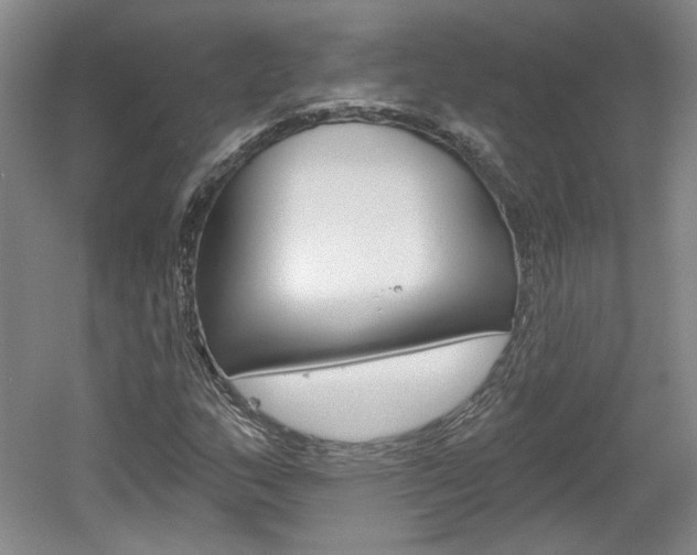 X0000061751159200512021104