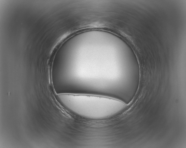 X0000061751171200512021104