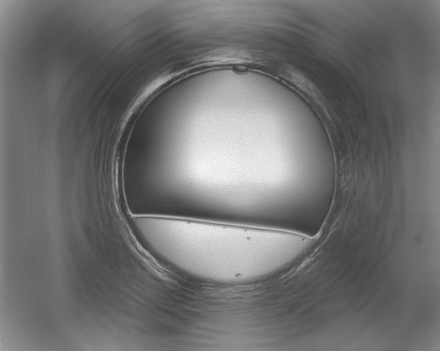 X0000061751179200512021104