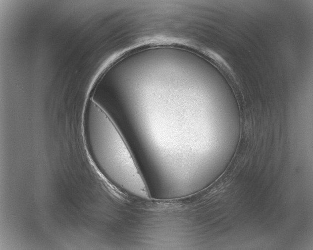 X0000061751183200512021104