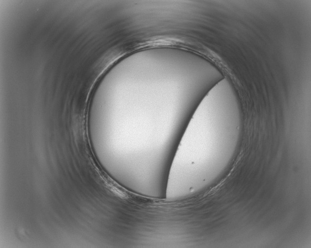 X0000061751186200512021104