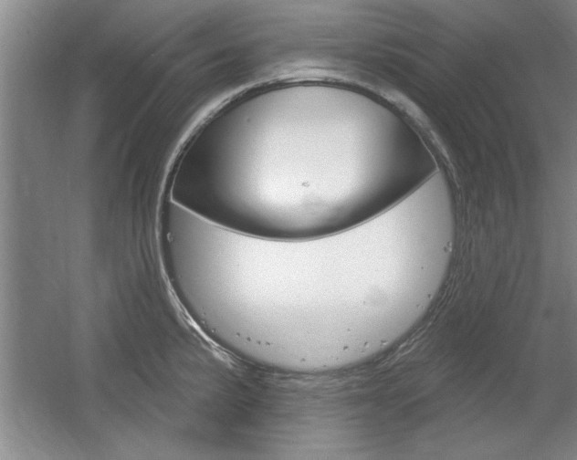X0000061751191200512021104