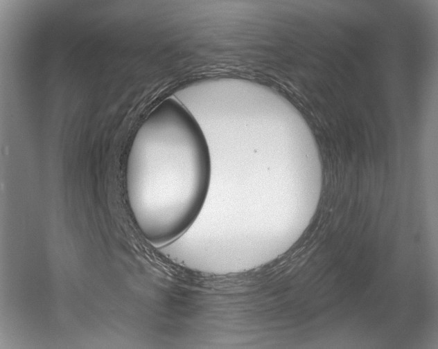 X0000061751201200512021103