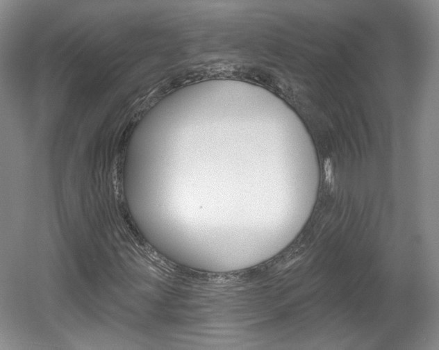 X0000061751203200512021103