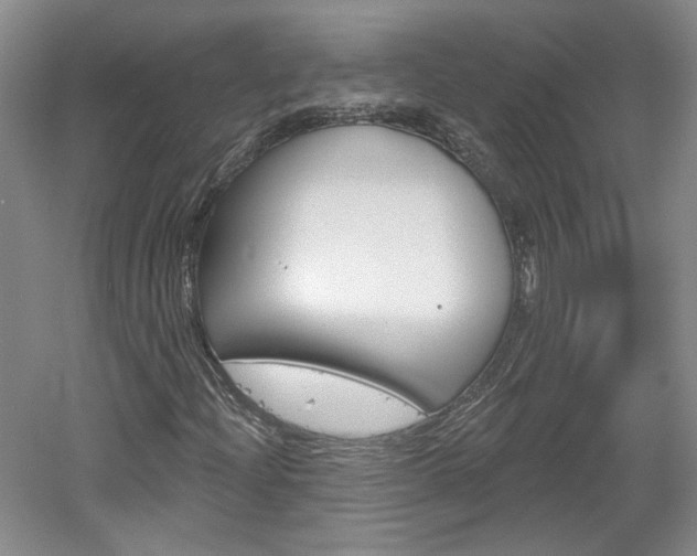 X0000061751204200512021103