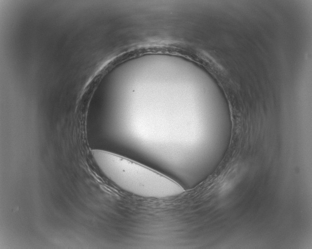 X0000061751208200512021103