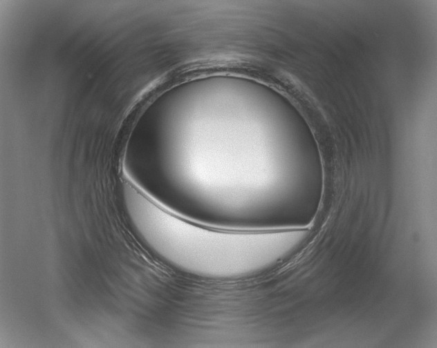 X0000061751210200512021103