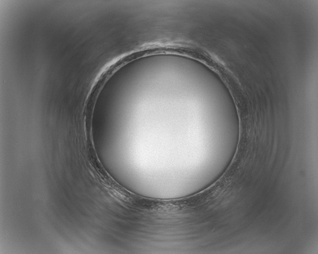X0000061751214200512021103