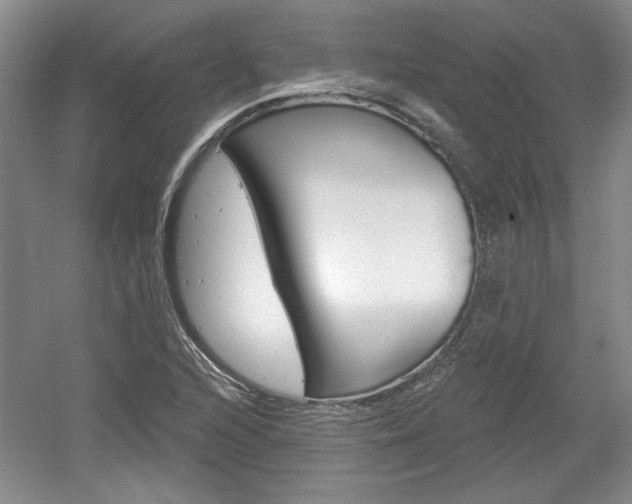 X0000061751216200512021103