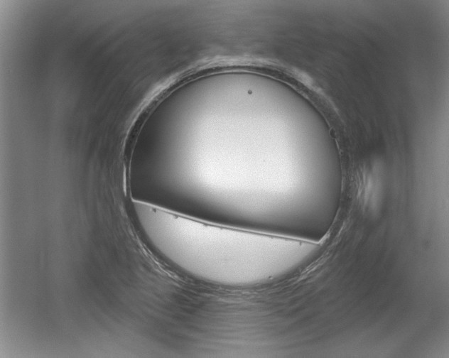 X0000061751221200512021103